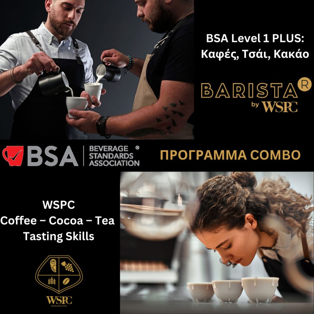 Combo BSA Level 1 Plus & CCT Skills